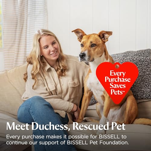 Bissell Pet Hair Eraser DualBrush Upright Vacuum with Two Brush Rolls, DualBrush Self-Cleaning Technology, HEPA Sealed Allergen System, Bright FurFinder Headlights, Lift-Off Pod, 42946 - style: Pet Hair Eraser DualBrush