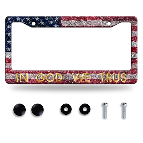 in God We Trust License Plate Frame Stainless Steel Car Accessory 12.3x6.3 - color: Funny-In God We Trust
