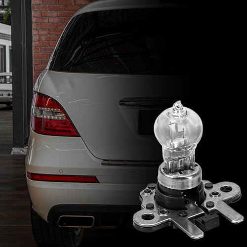 BuleVina Tail Lamp Brake Light Bulb Replacement Compatible for Mercedes Benz R300 R320 R350 R400 R500 W251 PH19W